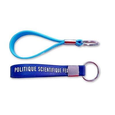 100% llavero promocional de los colgantes del silicón, accesorios del metal, color de Pantone