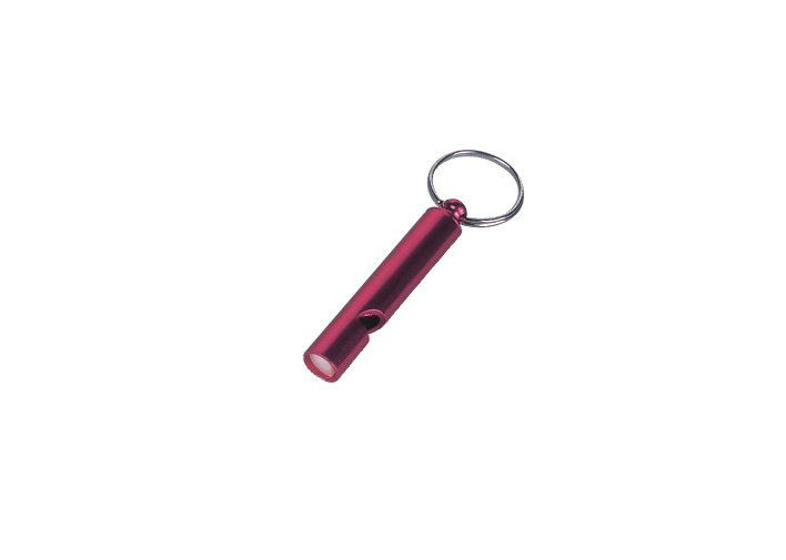 el alambre de acero, el silbido de aluminio modificó el llavero/los llaveros para requisitos particulares promocionales 30572 del color